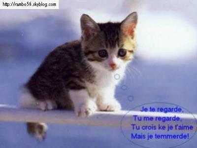 trop fort,mdr