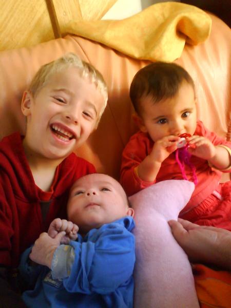 les 3 loulou